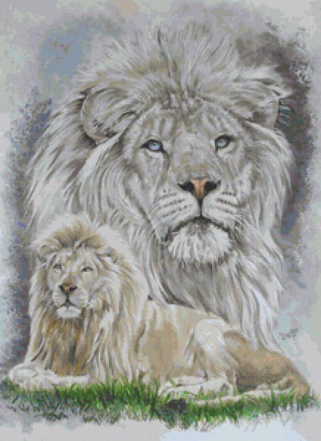 Серия "Большие кошки" - животные, кошки, львы - предпросмотр