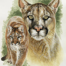 Схема вышивки «Серия "Большие кошки"»