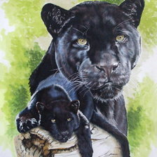 Схема вышивки «Серия "Большие кошки"»