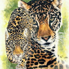 Схема вышивки «Серия "Большие кошки"»