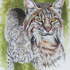 Схема вышивки «Серия "Большие кошки"»