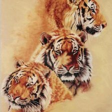 Схема вышивки «Серия "Большие кошки"»