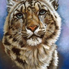 Схема вышивки «Серия "Большие кошки"»