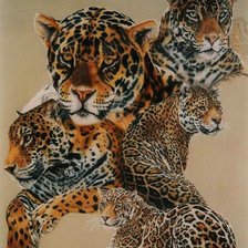 Схема вышивки «Серия "Большие кошки"»