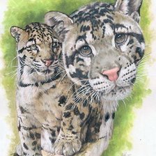 Схема вышивки «Серия "Большие кошки"»