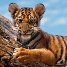 Схема вышивки «№134701»