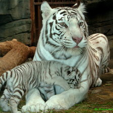 Схема вышивки «№134705»