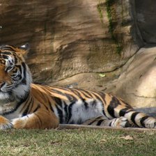 Схема вышивки «№134747»