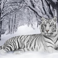 Схема вышивки «№134754»