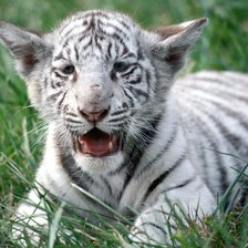 Схема вышивки «№134759»