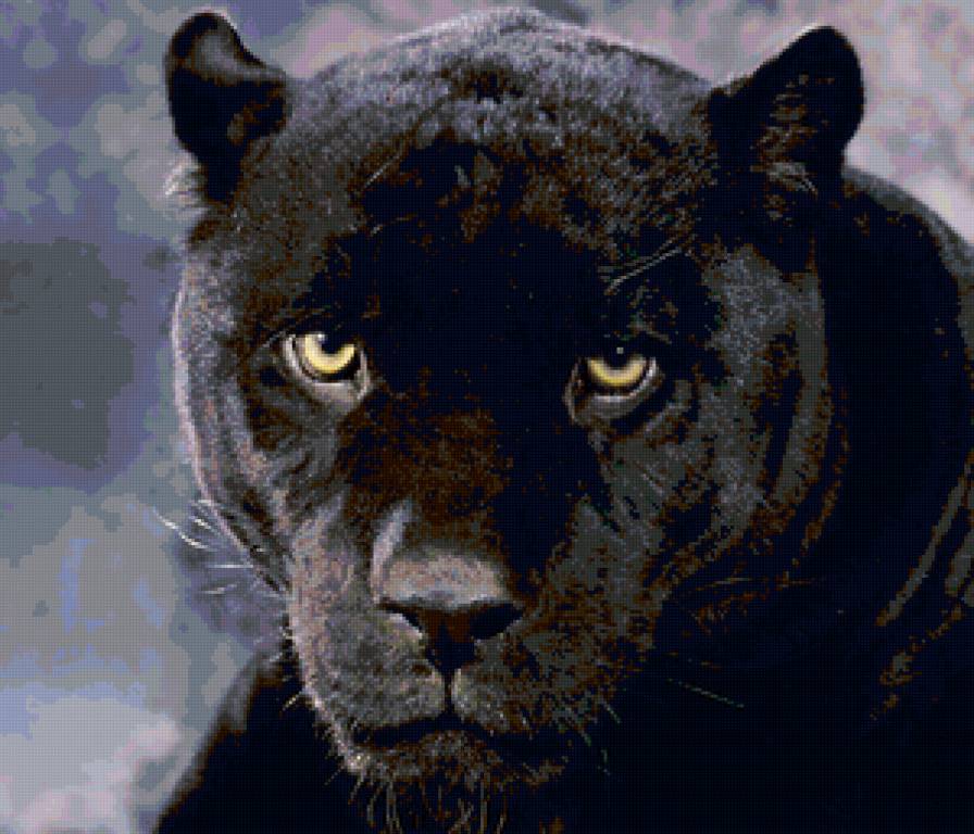 №134817 - киса, пантера - предпросмотр