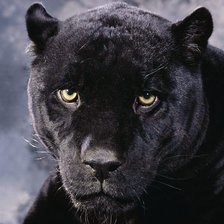 Схема вышивки «№134817»