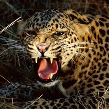 Схема вышивки «№134872»