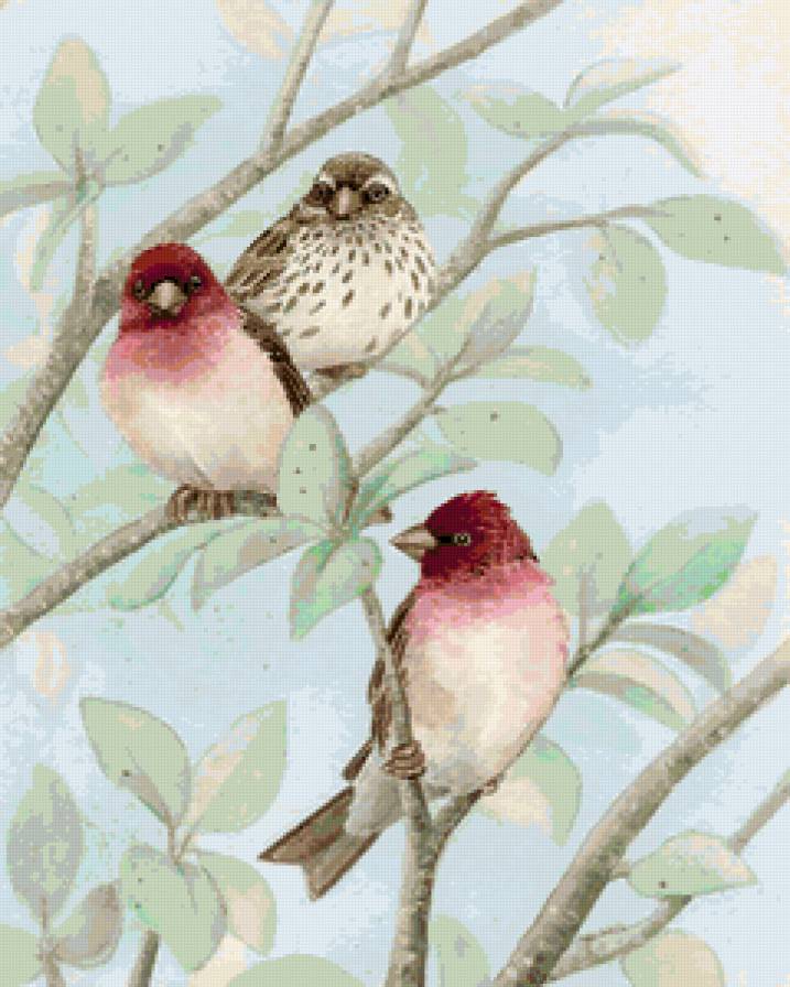 Птицы - птицы - предпросмотр