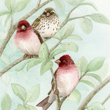 Схема вышивки «Птицы»