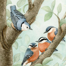 Схема вышивки «Птицы»