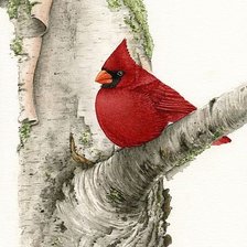 Схема вышивки «Птичка»