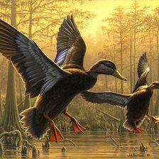 Схема вышивки «№135038»