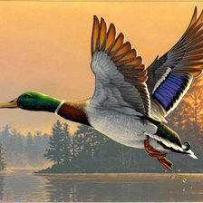 Схема вышивки «№135042»