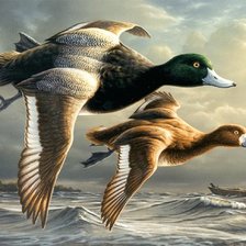 Схема вышивки «№135060»