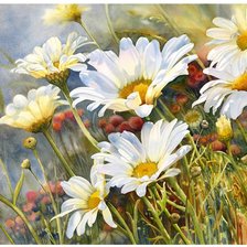 Схема вышивки «ромашки»