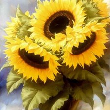 Схема вышивки «Подсолнухи»