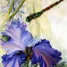 Схема вышивки «Ирис и стрекозка»