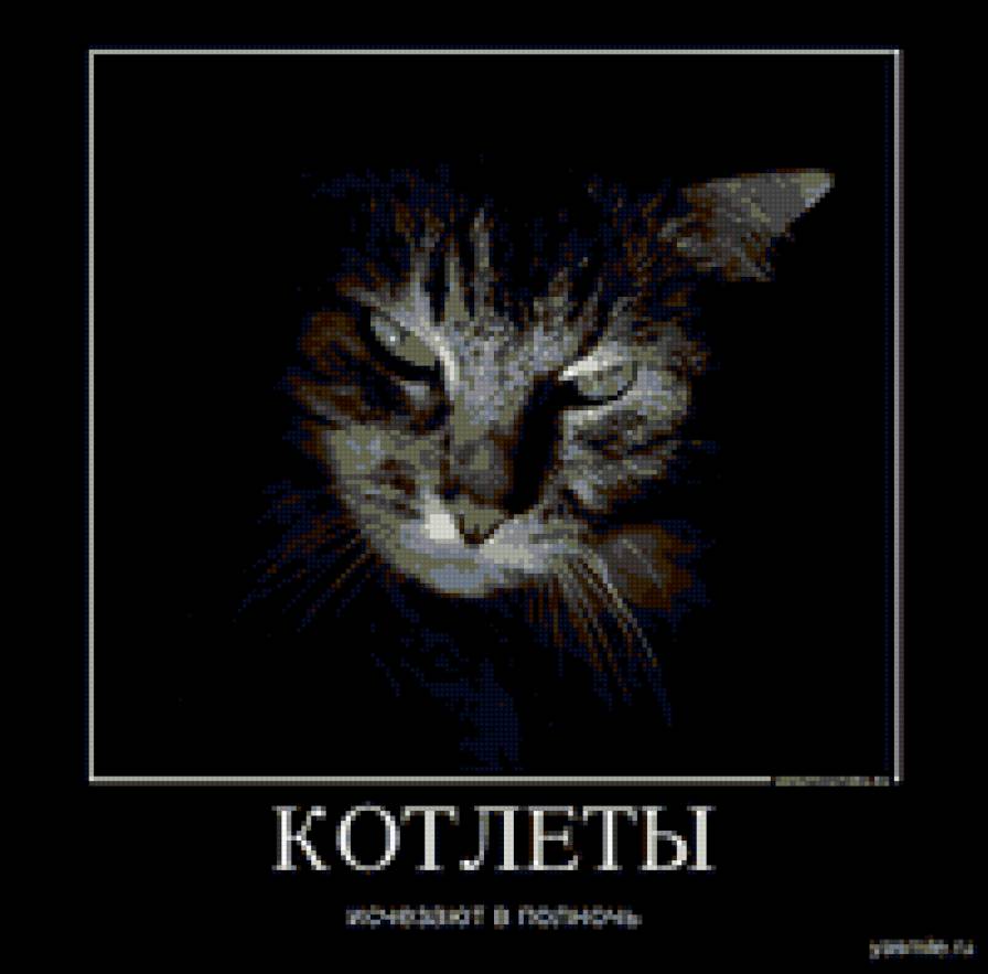 Котэ - предпросмотр