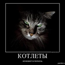 Котэ
