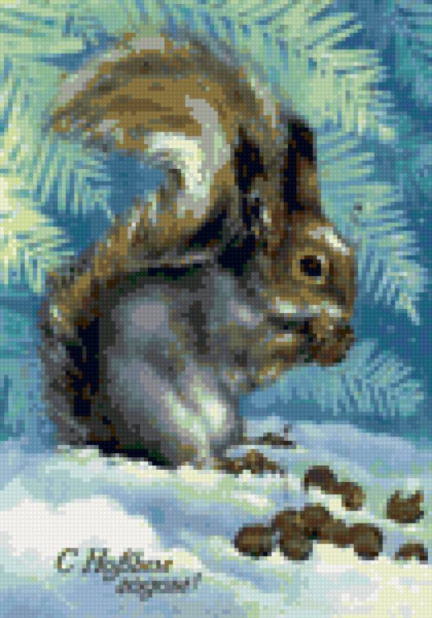 белка шишку грызёт - белка - предпросмотр