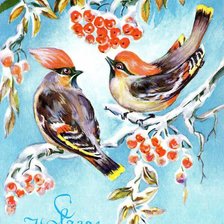 Схема вышивки «птички на ветке»