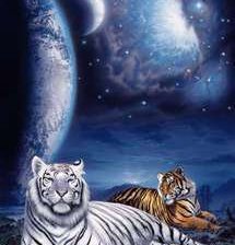 Схема вышивки «№135325»