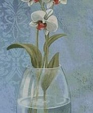 Схема вышивки «№135383»