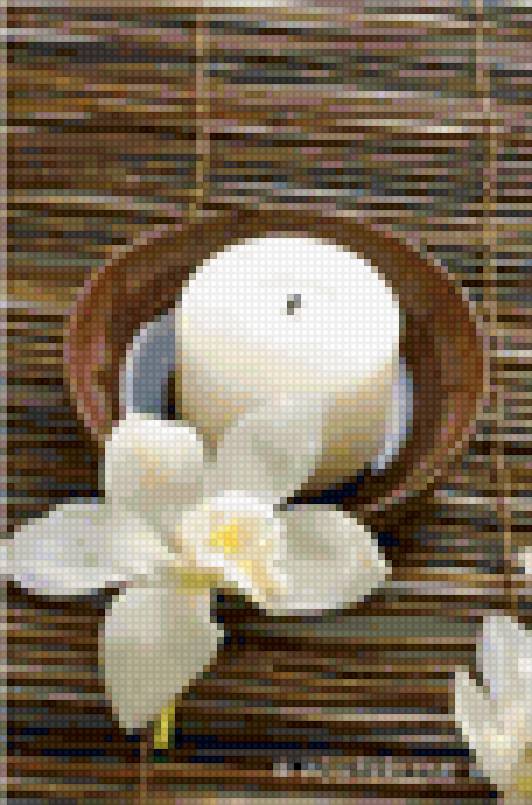 №135384 - предпросмотр