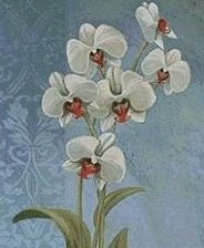 Схема вышивки «№135385»