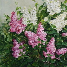 Схема вышивки «сирень»