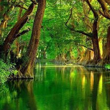 Схема вышивки «пейзаж»