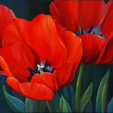 Схема вышивки «маки»