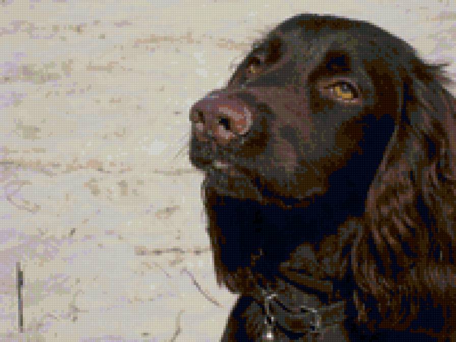 филя - предпросмотр