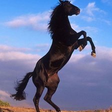 Схема вышивки «№135740»