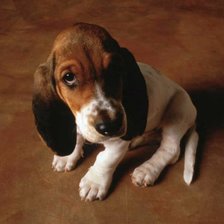 Схема вышивки «№135747»