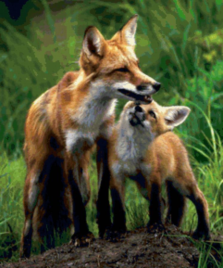 №135749 - семья, лиса, лисенок, лис - предпросмотр