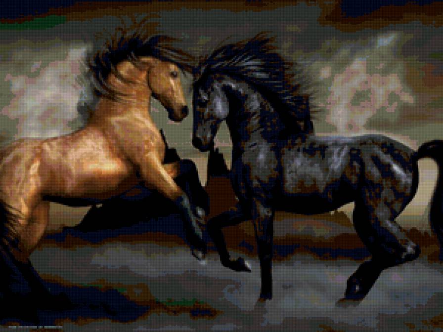 №135755 - кони, двое, лошади - предпросмотр