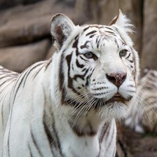 Схема вышивки «№135758»