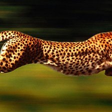 Схема вышивки «№135834»