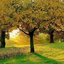 Схема вышивки «Парк»