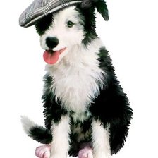 Схема вышивки «№136008»