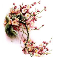 Схема вышивки «№136210»