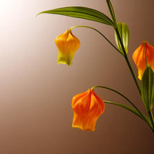 Схема вышивки «фонарики»