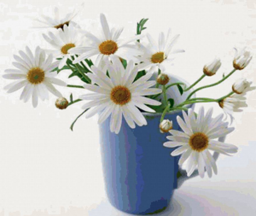 ромашки - цветы - предпросмотр